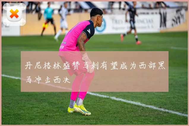 丹尼格林盛赞马刺有望成为西部黑马冲击西决