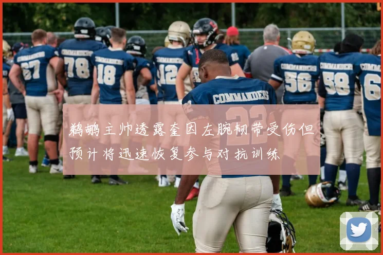 鹈鹕主帅透露奎因左腕韧带受伤但预计将迅速恢复参与对抗训练