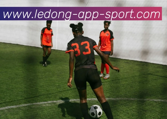 乐动体育APP 体育赛事宣传图